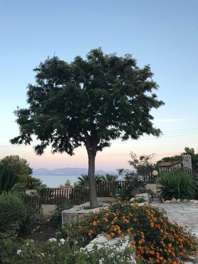 Villa Michela 斯科佩洛 外观 照片